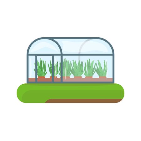 Greenhouse on abstract green land island. Green plant in terracotta flower pot. Vector plant in classic greenhouse with glass. Cultivation and gardening vector. Agriculture banner.のイラスト素材