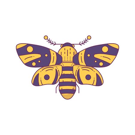 Big moth illustration. Yellow and dark blue night moth. Line style vector illustration.Butterfly symbol. Large insect icon. のイラスト素材