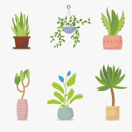 Set of green house plants. Green plants in flowerpot. Big green leaf and home garden set of flowers. Home interior decoration with plants.のイラスト素材
