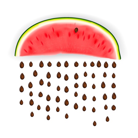 Slice of nice fresh watermelon のイラスト素材