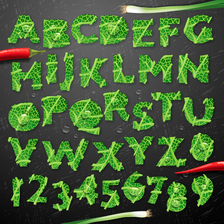 Green leaf lettuce alphabet, vector illustration. Perfectly suited for healthy restaurants and green brands, like: vegan places, cooking website, veggie recipes blog, associations, etc.のイラスト素材
