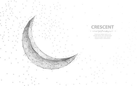 Vector crescent moon. Abstract polygonal wireframe moon illustration on white background with stars of universe space.のイラスト素材
