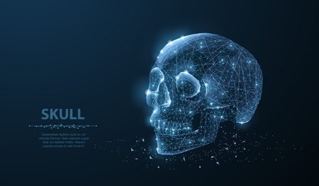 Skull. Abstract vector polygonal skeleton skull illustration on dark blue background with stars. Medical anatomy, danger evil, scary dead, pirate death symbol.のイラスト素材