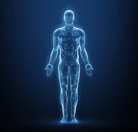 Human body. Abstract vector. Digital anatomy, Medical technology, Muscle structure.のイラスト素材