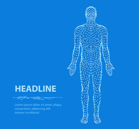 Human body. Abstract vector. Digital anatomy, Medical technology, Muscle structure.のイラスト素材