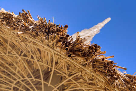 Tilted closeup of bamboo beach umbrella, selective focus on its edge, with copy spaceの写真素材