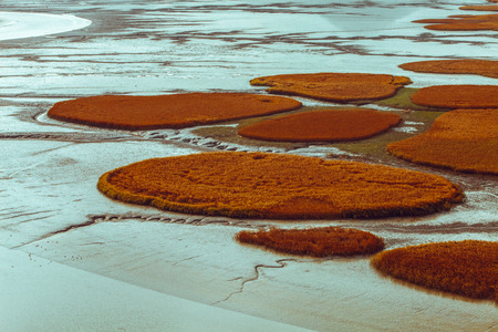 Natural Ecological Park.の写真素材