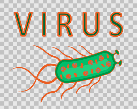 Bacteria, germ, virus set isolated. Biology element, microorganisms, disease causing organisms.Vector flat cartoon illustration icon.のイラスト素材