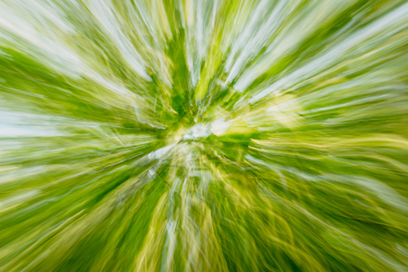 Abstract natural green, yellow and blue background. Photo of branches fresh green leaves with directional blur and motion effect. Lines and strips.  Zoom-inの写真素材