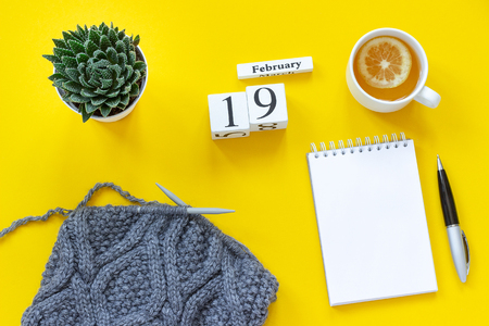 Wooden cubes calendar February 19th. Cup of tea with lemon, empty open notepad for text. Pot with succulent and fabric on knitting needles on yellow background. Top view Flat lay Mockup Concept.の写真素材