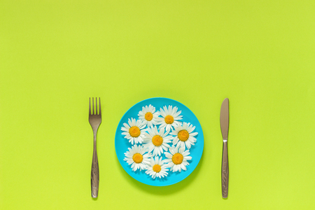 Flower chamomile daisy on blue plate and cutlery fork knife on green paper background Concept vegetarianism, healthy eating or diet Creative top view Copy space template for lettering text or your design.の写真素材