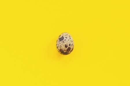 One quail egg on yellow paper background in minimal style. Easter concept. Template Creative Flat lay Top view Copy space lettering, text or your design.の写真素材