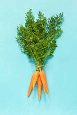 Bunch boundle of fresh orange juicy carrots with lush green tops tied with rope on blue background.の写真素材