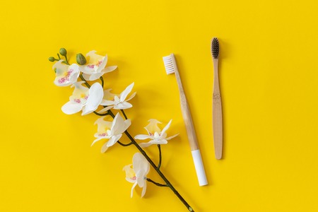 Natural eco-friendly bamboo brushes and orhid flower on paper yellow background. Copy space for text or your design Top view Flat lay.の写真素材