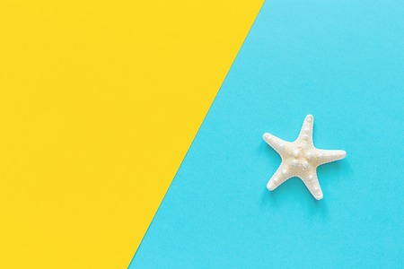 One sea starfish on blue and yellow paper background Minimal style Copy space Template for lettering, text or your design Creative Top View.の写真素材