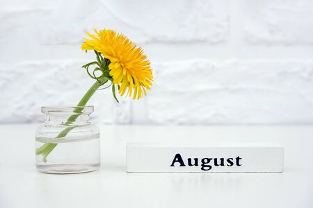 Wood calendar summer month August and yellow dandelion in bottle vase on table background white brick wall Copy space Minimal style. Template for postcard, text, design Concept Hello August.の写真素材