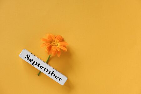 One orange calendula flower and calendar autumn month September on yellow background. Top view Copy space Flat lay Minimal style. Concept Hello September Template for your design, greeting card.の写真素材