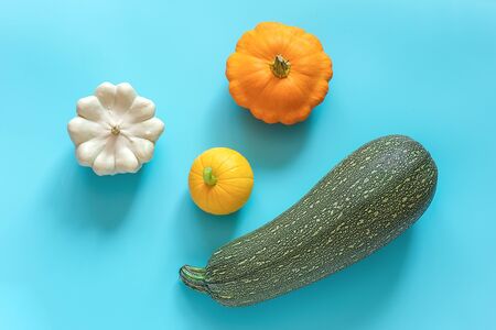 Harvest of colored different vegetables gourds pumpkin, zucchini, pattypan squash on blue background. Top view Flat lay.の写真素材