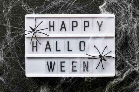 Lightbox with text Happy halloween decorated cobwebs and spiders, closeup. Halloween concept, Top view, Flat lay, Template for greeting card.の写真素材