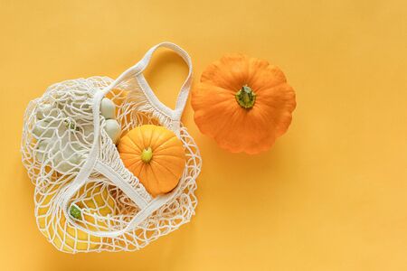 Fresh harvest vegetables gourds pumpkin, pattypan squash in shopping eco-friendly mesh bag on yellow background. Concept Organic vegetable harvest. Top view Flat lay Copy spaceTemplate .の写真素材