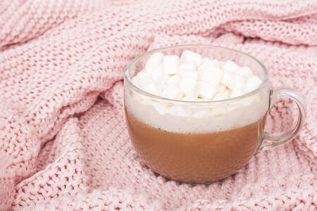 Transparent cup of cocoa with marshmallow and gift box with bow on pink knitted plaid, close up....