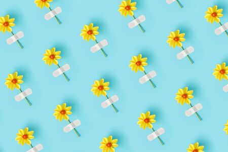 Flower pattern. Fresh natural yellow flower glued with adhesive plaster on a blue background....