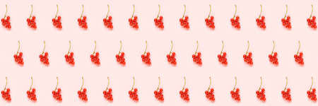 Berry pattern. Banner made from twigs of red currant berry on pink paper background. Minimal style...
