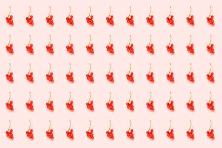 Berry pattern. Twigs of red currant berry on pink paper background. Minimal style Creative Flat lay...