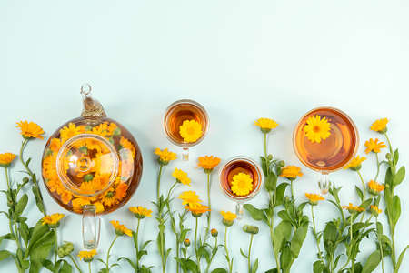 Cups of herbal tea and transparent teapot with calendula flowers on blue background. Calendula Tea Benefits Your Health concept. Top view Flat lay Copy space.の写真素材