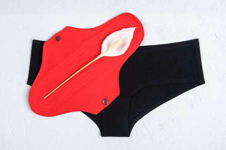 Eco reusable menstrual pad with white delicate flower and black underpants on gray background....