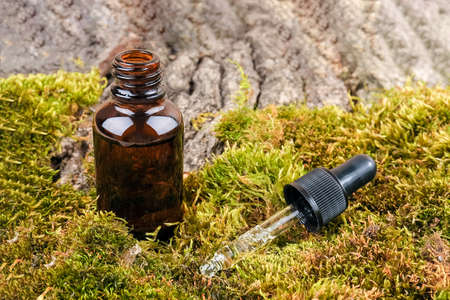 One brown glass bottles and pipette whith serum, essential oil on green moss and tree bark background. Natural Organic Spa Cosmetic concept.の写真素材