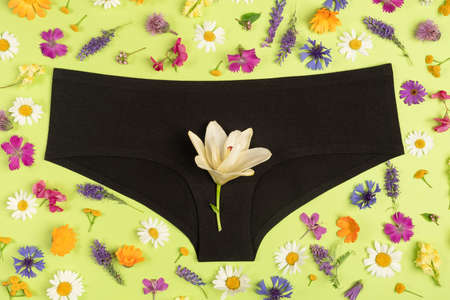 Black panties and colorful flowers on green background, close up. Concept Keep your vagina healthy...