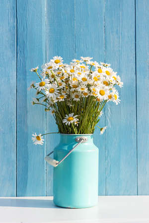 Bouquet of field chamomile flowers in starm tin can vase on background blue wooden boards. Template for postcard. Concept Women's day, Mothers Day, Hello summer or Hello spring.の写真素材