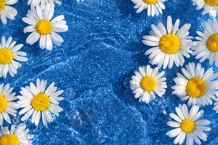 Bright summer background. Natural chamomile flowers and wave water on shining blue background. Top view Flat lay.の写真素材