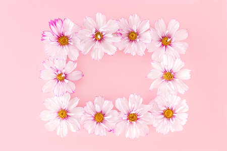 Frame made with flowers on pink background. Flat Lay Top view Copy space.