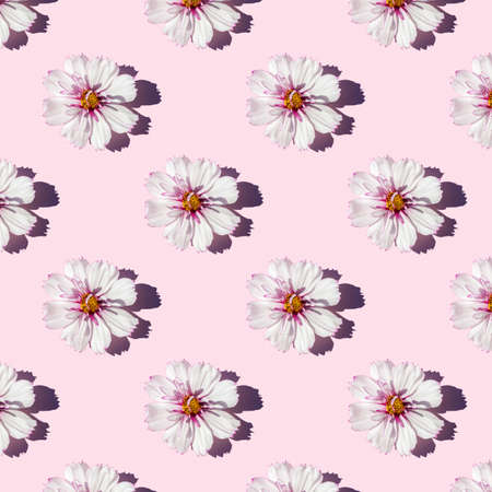 Trendy sunlight seamless pattern made with delicate flowers on pink background, as backdrop or...