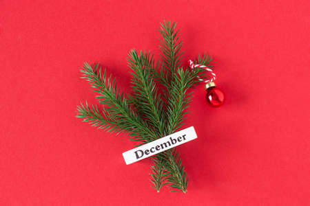 Calendar winter month December and christmas tree on red background. Top view Flat lay. Minimal Holiday concept. Template for your design, greeting card.の写真素材