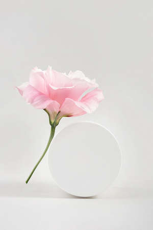 White blank cosmetic jar and pink flower on gray background. Natural Organic Spa Cosmetic Beauty Concept. Front view Mock up.の写真素材