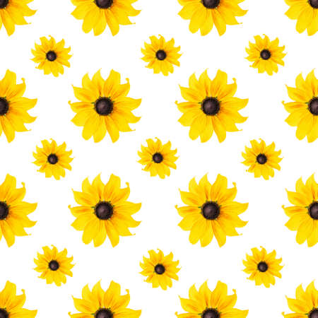 Seamless natural pattern of natural yellow flowers on white background, as backdrop or texture. Bright summer wallpaper. Top view flat lay.の写真素材