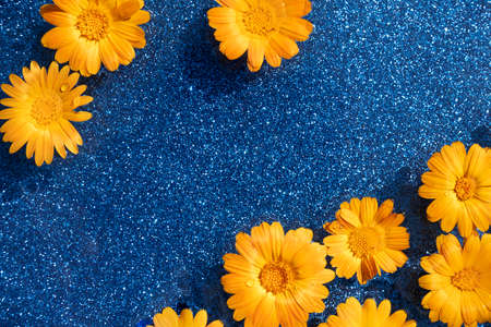 Bright creative summer background. Natural orange flowers and wave water on shining blue background. Top view flat lay.の写真素材