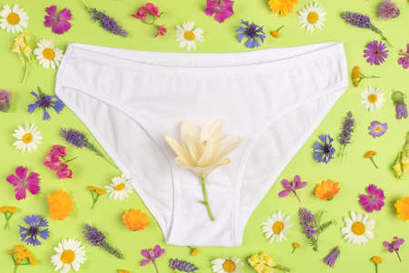 White panties and colorful flowers on green background, close up. Keep your vagina healthy and happy, Women health concept,. Top view flat lay.の写真素材