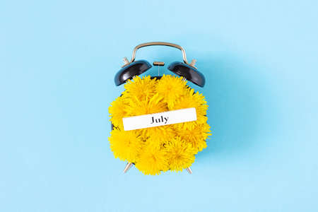 Calendar summer month July and alarm clock with yellow dandelions flowers on face, blue background....