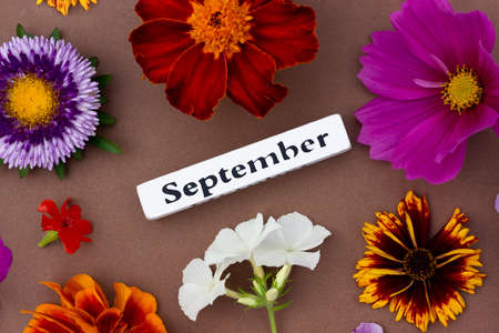 Calendar autumn month September and bright flowers on brown background. Top view flat lay. Minimal concept hello fall. Template for your design, greeting card.の写真素材