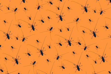 Halloween pattern made with creepy black beetles with long whiskers on orange background, as a backdrop or texture. Creative halloween layout for your design.の写真素材
