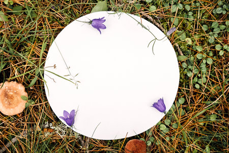 White circle blank card on green natural background in forest. Top view Flat lay Mockup.の写真素材