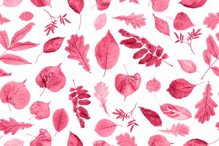 Trendy color of the year 2023. Seamless pattern of natural leaves on a white background, as a backdrop or texture toned in viva magenta color.の写真素材