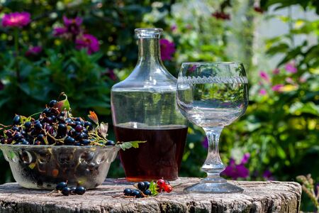 Blackcurrant wine with berries in   glass from an old wooden tableの写真素材