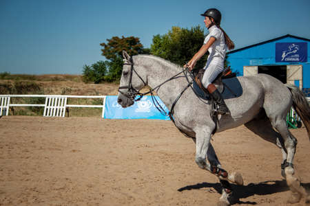 Equestrian sport - young woman preparing to jump on a beautiful horseのeditorial素材