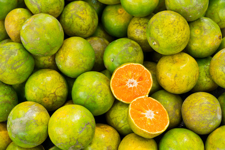 Fresh tangerineの写真素材