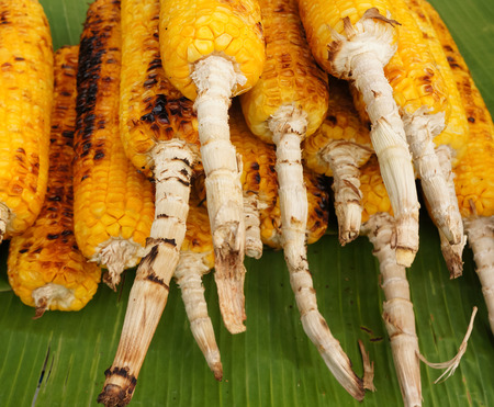 grilled Cornの写真素材